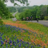 User avatar for Ang B