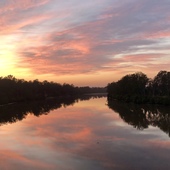 User avatar for Jim Robinson