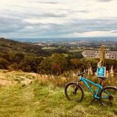 User avatar for Matt Green