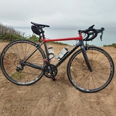 User avatar for INGRID GAIN