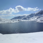 User avatar for Antonia Cuff