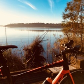 User avatar for Michel Fleuren