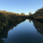 User avatar for Deneb Gabor