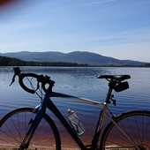 User avatar for Andy Griffin