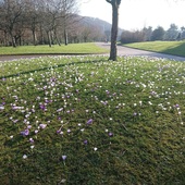 User avatar for Dave Mappin