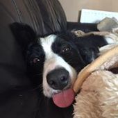 User avatar for Barney Barnes