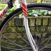 User avatar for Micahel Wozny