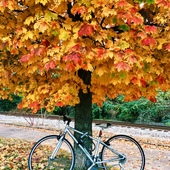 User avatar for Leni Clark