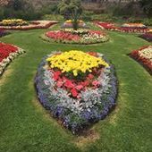 User avatar for Abubakar Moustafa