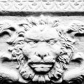 User avatar for Barry Norton