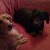 User avatar for Alma Woollett