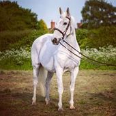 User avatar for Elly Cooper