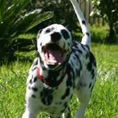 User avatar for Jim Robinson