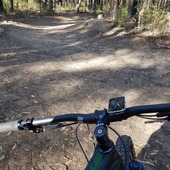 User avatar for Daniel Norris