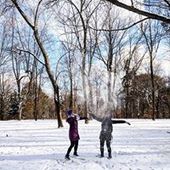 User avatar for Dee Rogers