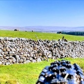 User avatar for Duncan Brooks