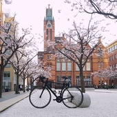 User avatar for Peter Bailey