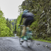 User avatar for Dean Thompson