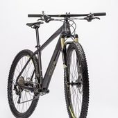 User avatar for Gianluca Bonomi