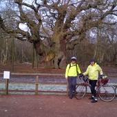 User avatar for Rob King