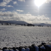 User avatar for Stuart Skea