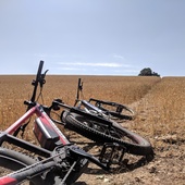 User avatar for Ali H