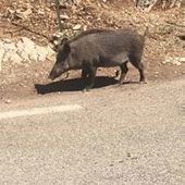 User avatar for Chris Beaty