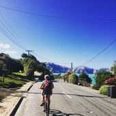 User avatar for Amanda Chapple