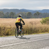 User avatar for Cath Graham