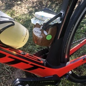 User avatar for Allegra Battiato