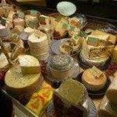 User avatar for Chie Onodera