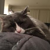 User avatar for Nicole Miller