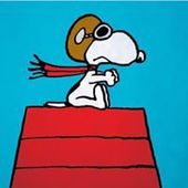 User avatar for Matteo Bidese