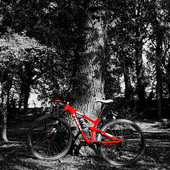 User avatar for Dani Ve