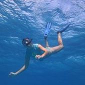 User avatar for Ray Chill