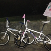 User avatar for Andee Green