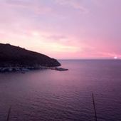 User avatar for Sara Mariani