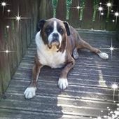 User avatar for Debra Glossop Was Flynn