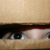 User avatar for Michele Cilfone