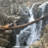 User avatar for Brian Parr