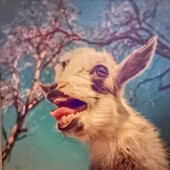 User avatar for Ryan Barrett