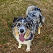 User avatar for Kathryn Whiting