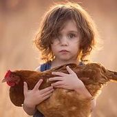 User avatar for Antonella Ferranti