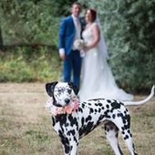 User avatar for Colette Barton