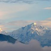 User avatar for Anjan Sarmah