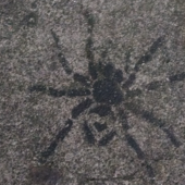 User avatar for Michael Sitvarin