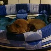 User avatar for Paola Pirola