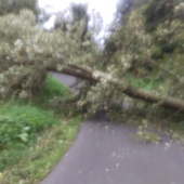 User avatar for Jason Cooper