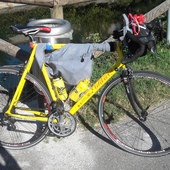 User avatar for Tommy Magri