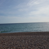 User avatar for Milen Tenev